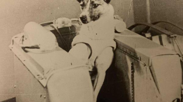 ziua in care catelusa laika a fost trimisa in spatiu sacrificiul celui mai bun prieten al omului