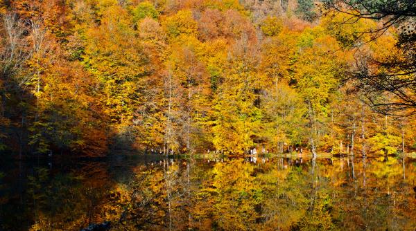 prognoza meteo actualizata vremea pana n 17 noiembrie vesti bune de la meteorologi
