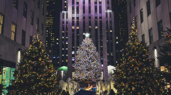 bradul de craciun al rockefeller center a fost ridicat in manhattan