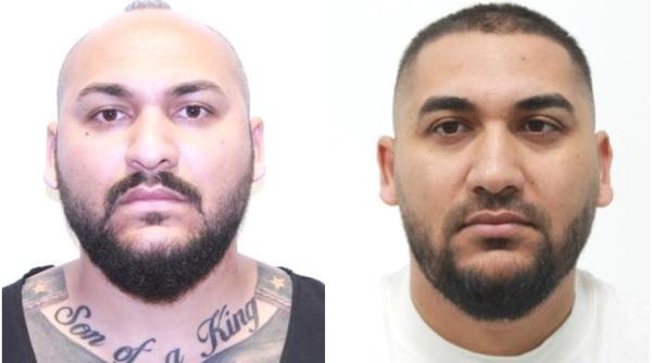 fratii mocanu prinsi langa napoli ministrul justitiei informatii de ultima ora