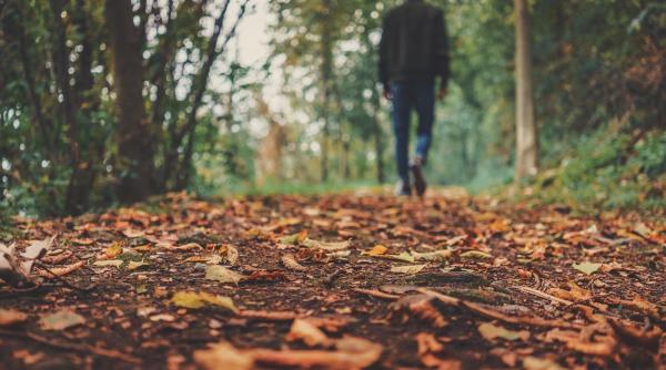 vremea pana pe 23 noiembrie de la temperaturi de primavara la ploi si raciri bruste