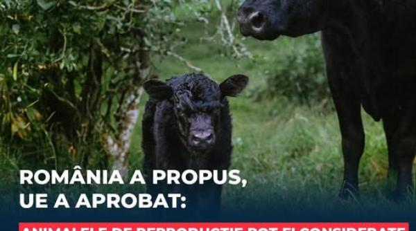 florin barbu aduce vesti bune fermierilor romani ce vor putea cumpara cu fonduri europene