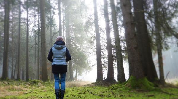 tragedie medicala recunoscuta de fda dupa 22 de ani mihaela bilic milioane de femei condamnate la batranete