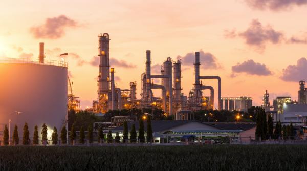 toate benzinariile lukoil din bulgaria functioneaza normal anunta compania