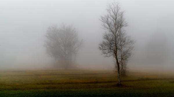 cod galben de ceata in zone din 26 judete duminica dimineata