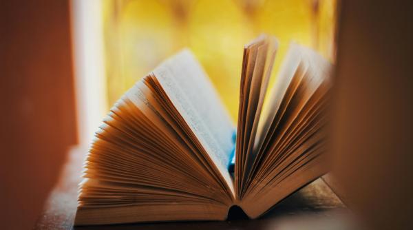 apare o noua universitate in constanta senatul a aprobat infiintarea