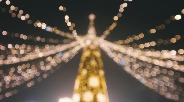 iasi se pregateste de sarbatori cu peste 800 de brazi in ghivece luminitele vor porni pe 1 decembrie