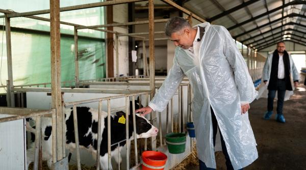 andi cristea europarlamentar zece motive pentru care il votez pe marcel ciolacu