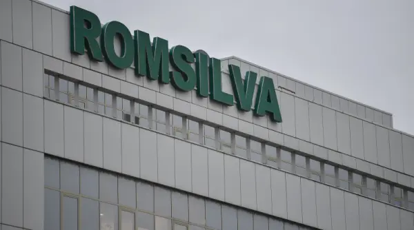 oug privind reforma romsilva aprobata de guvern controalele video printre schimbari