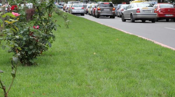 primul sector al capitalei cu bulevarde transformate in coridoare verzi