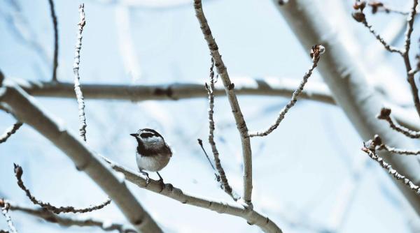 vremea pe o luna pana in 22 decembrie anm prognoza meteo pe saptamani