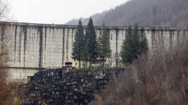 criza de la paltinu eroare tehnica sau eroare de leadership studiu de caz in incompetenta administrativa