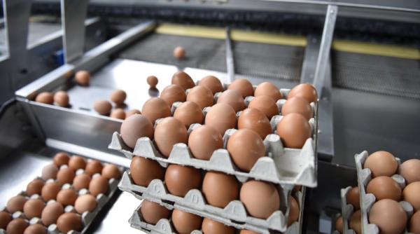 criza pe piata oualor din romania de ce sunt tot mai goale rafturile din magazine