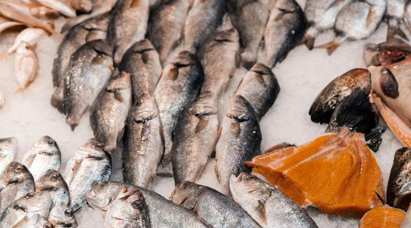 alerta alimentara 600 de kilograme de peste retras de la vanzare avea larve de anisakis spp cat de periculoasa este anisakiaza