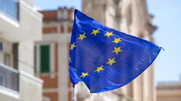 federica mogherini a demisionat de la colegiul europei