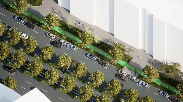 sectorul 3 continua extinderea zonelor verzi plantari in ritm constant in parcuri si aliniamente