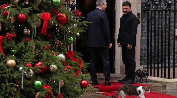 zelenski tratat cu spatele de faimosul motan larry imaginile au facut inconjurul internetului video viral