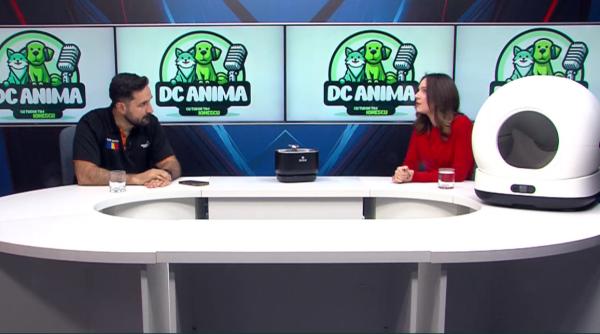 solutii smart pentru bunastarea pisicilor si cainilor bianca andreev la dc anima