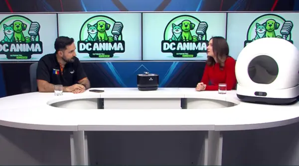 solutii smart pentru bunastarea pisicilor si cainilor bianca andreev la dc anima