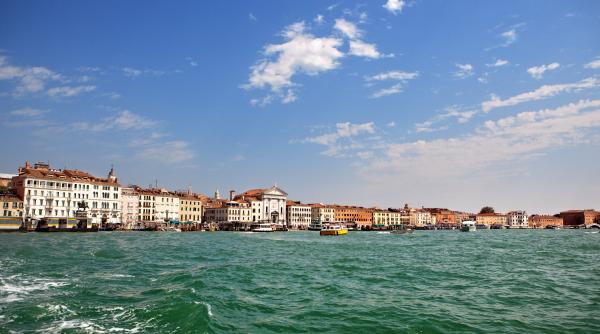 o foca a fost surprinsa inotand in laguna venetiei video