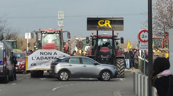 fermierii protesteaza la bruxelles europarlamentar austriac declaratii din mijlocul manifestatiei
