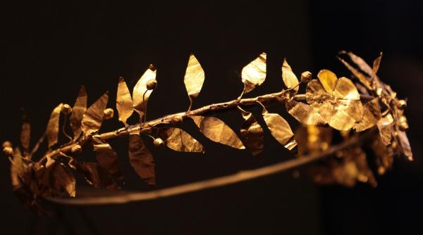 un copil a distrus o coroana de aur in valoare de 300 000 de euro intr o expozitie din beijing