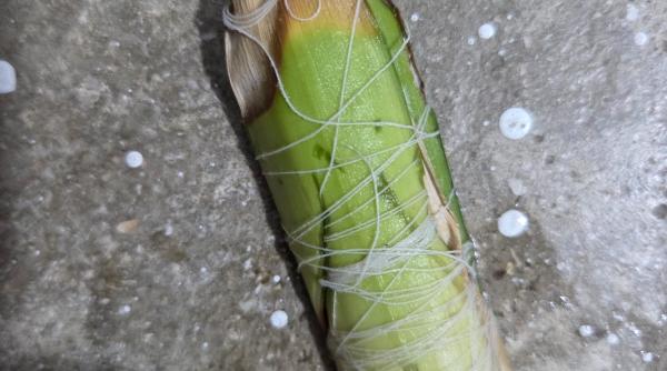 te ai trezit cu un astfel de obiect in curte preotul paul iulius negoita simt nevoia sa scriu aceste randuri