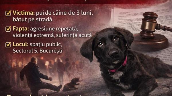 condamnare cu executare 2 ani de inchisoare si interdictie 5 ani pentru cruzime asupra animalelor