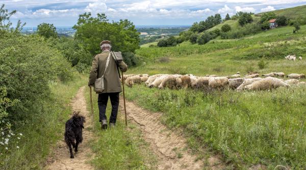 traiau bunicii nostri mai mult si mai sanatos explicatiile chimistului radu fierascu
