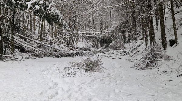 locuitori din cinci sate din hunedoara fara curent electric dupa caderile de zapada