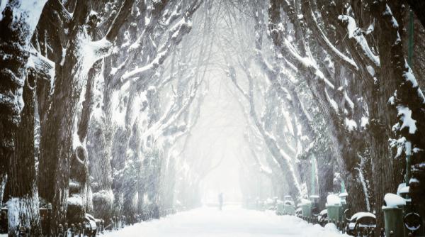 vreme deosebit de rece si ger in toata tara temperaturi de pana la 15 grade regiunile unde va ninge