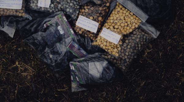 seminte misterioase din china trimise prin posta in sua avertisment ferm nu le deschideti