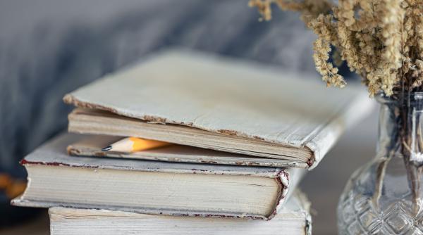 ideea de natiune tot mai diluata ce putem invata de la clasicii culturii romane