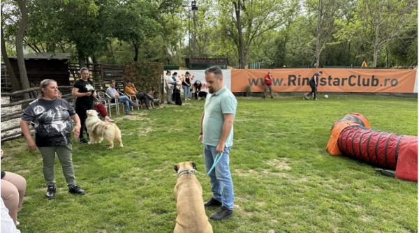 premiera nationala dresaj canin acreditat care scoate cainii din adapost si ii duce direct spre adoptie