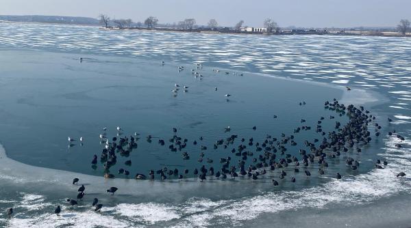 cod galben de ger in peste jumatate de tara temperaturile maxime coboara pana la minus 15 grade