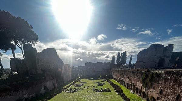turist roman ranit la roma dupa ce un copac s a prabusit in zona forurilor imperiale