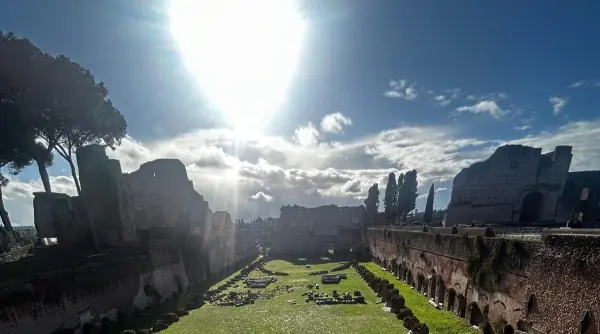 turist roman ranit la roma dupa ce un copac s a prabusit in zona forurilor imperiale