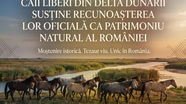 caii din delta dunarii nu mor din cauza naturii mor din cauza oamenilor
