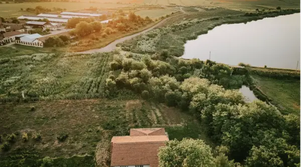 a fost scos la vanzare conacul lui nicolae furculescu cum arata domeniul de 30 000 de mp in valoare de 295 000 de euro