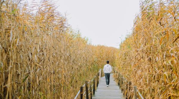 cum iti alegi partenerul pe baza ranilor vechi raspunsul psihologilor
