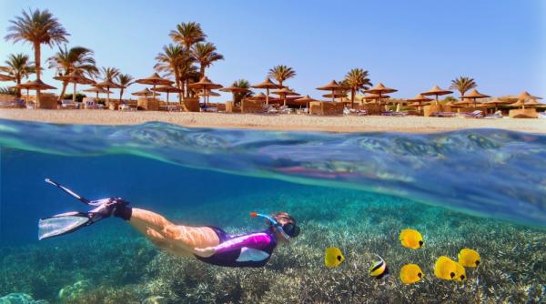 excursii in marea rosie snorkeling si scufundari in recifurile de corali