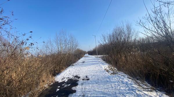 cod galben de vant si ninsori viscolite in mai multe judete informare de precipitatii si racire