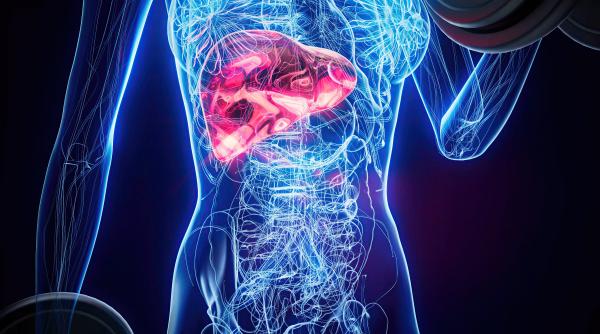 boala ficatului gras stil de viata si genetica prof dr liana gheorghe la dc medical si dc news