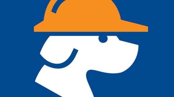 antreprenorii romani de succes care achizitioneaza activele carrefour cum au construit fratii paval un brand national in mai bine de trei decenii