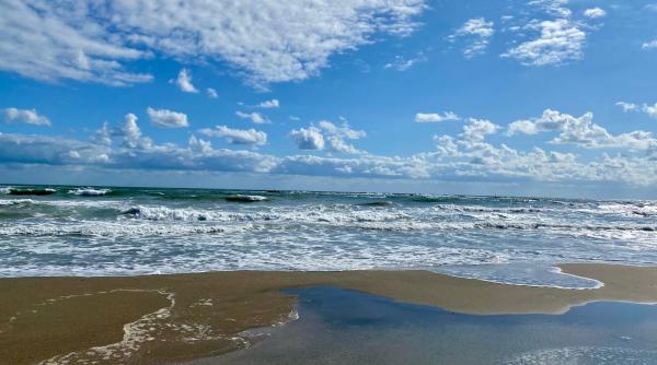 alin bucur investitor pare ca cineva urmareste ca romania sa nu aiba litoral e foarte grav ce se intampla video