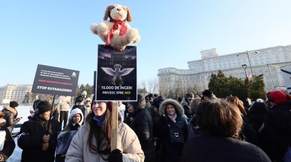 dreptate pentru animale protest in fata parlamentului impotriva eutanasierii cainilor oamenii cer schimbarea legislatiei