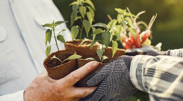 a fost o iarna grea dar la final de februarie vestile sunt bune sperante pentru agricultori video