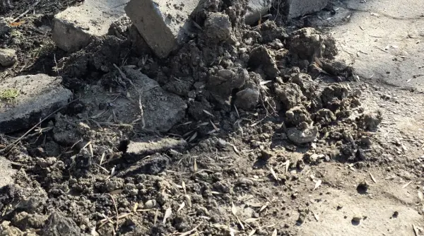 compania de apa lucrari gen dorel la buzau sunt gropi de zici ca a dat putin cu bomba video foto