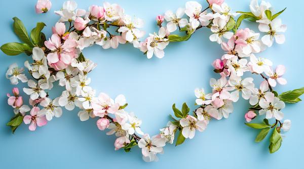 horoscop 6 martie 2026 venus intra in berbec astrolog daniela simulescu previziuni toate zodiile