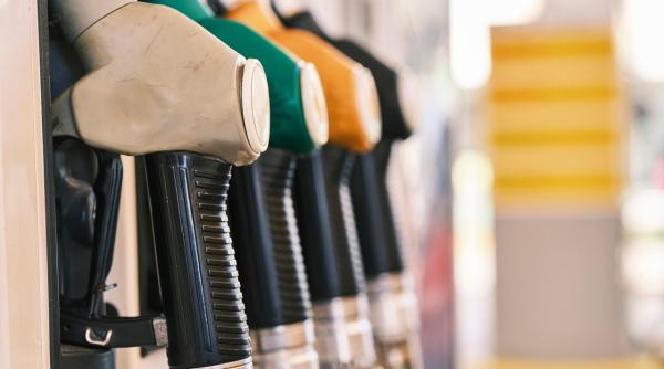 pretul carburantilor aproape de 10 lei litru elena cristian 70 castiga statul roman pretul real 4 lei